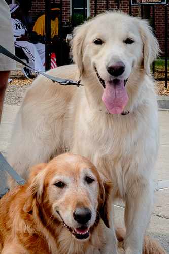 Farmers Market  |  Troy, NY - Sep 2025